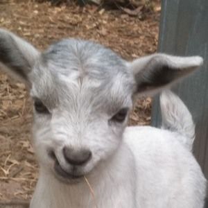 Meet your Posher, January